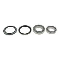 Front Left Right Rear Wheel Bearing Kit AMCP-39456-KA305 OE Ref 3666957