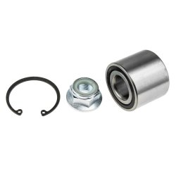 Rear Left Right Wheel Bearing Kit AMCP-39691-RE016 OE Ref 4321000QAD