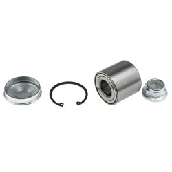 Rear Left Right Wheel Bearing Kit AMCP-39710-RE040 OE Ref 7701207898