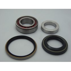 Rear Left Right Wheel Bearing AMCP-39728-DW071