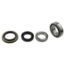 Rear Wheel Bearing Kit AMCP-39751-HY508 OE Ref 5270143300