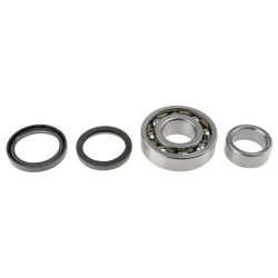 Rear Wheel Bearing Kit AMCP-39776-SU010 OE Ref 0926935010
