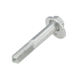 Upper Camber Correction Screw AMCP-4823-NS046S OE Ref 55226EN10B