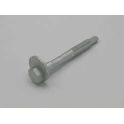 Camber Correction Screw AMCP-4829-LR003S OE Ref KYF500050