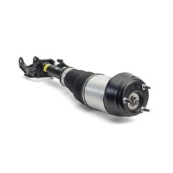 Air Suspension Strut ARNOTT AS-3061 OE Ref 1663205166