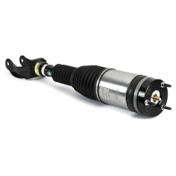 Air Suspension Strut ARNOTT AS-3411 OE Ref 1663204966
