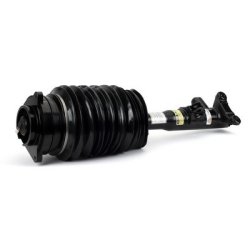 Air Suspension Strut ARNOTT AS-3423 OE Ref 2123201738