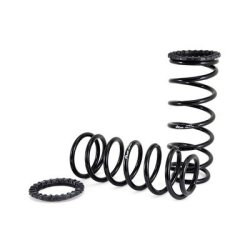 Springs Suspension Set ARNOTT C-2410