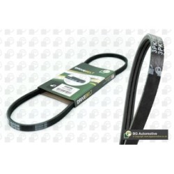 V Ribbed Belt BGA 3PK855 OE Ref 11950-42L10