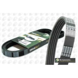 V Ribbed Belt BGA 5PK725 OE Ref 5750.P5