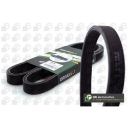 V Ribbed Belt BGA 6DPK1853 OE Ref 30731809