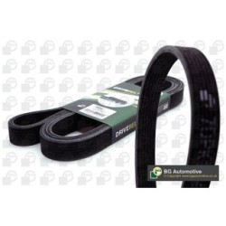 V Ribbed Belt BGA 7DPK1360 OE Ref 7198536