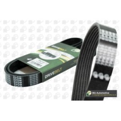 V Ribbed Belt BGA 7PK1075 OE Ref 500388408