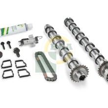 Camshaft Kit BGA CS2335K OE Ref 9830146880