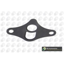 EGR Valve Gasket BGA AX9500 OE Ref 24411213