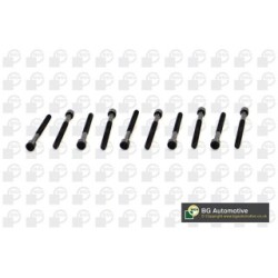 Cylinder Head Bolt Set BGA BK0105 OE Ref WHT001017(x10)