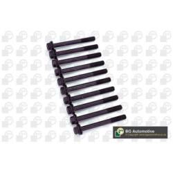 Cylinder Head Bolt Set BGA BK0145 OE Ref 96416362(x10)