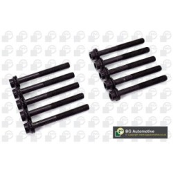 Cylinder Head Bolt Set BGA BK0160 OE Ref 97376865