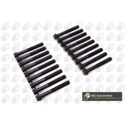 Cylinder Head Bolt Set BGA BK0170 OE Ref 1005B373(x18)