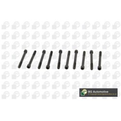 Cylinder Head Bolt Set BGA BK1202 OE Ref 96416362