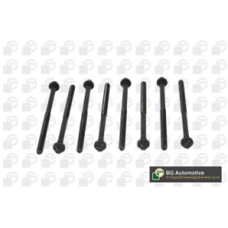 Cylinder Head Bolt Set BGA BK1313 OE Ref 0039902522(x16)