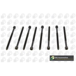 Cylinder Head Bolt Set BGA BK1315 OE Ref 06E103385(x8)