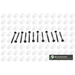 Cylinder Head Bolt Set BGA BK2304 OE Ref 30777636(x12)