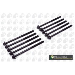 Cylinder Head Bolt Set BGA BK2331 OE Ref 11128513128(x10)