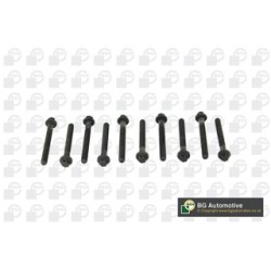 Cylinder Head Bolt Set BGA BK2337 OE Ref 0000160169(x10)