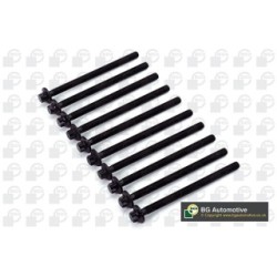 Cylinder Head Bolt Set BGA BK2359 OE Ref 5607937(x10)