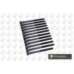 Cylinder Head Bolt Set BGA BK2373 OE Ref 6659901112(x11)