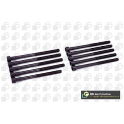 Cylinder Head Bolt Set BGA BK2376 OE Ref 6659901112(x9)