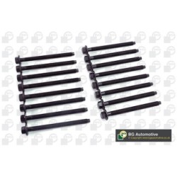 Cylinder Head Bolt Set BGA BK2392 OE Ref 0204.A8(x8)