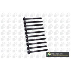Cylinder Head Bolt Set BGA BK2394 OE Ref WHT000675(x10)