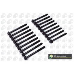 Cylinder Head Bolt Set BGA BK3311 OE Ref 11057-2W200(x18)
