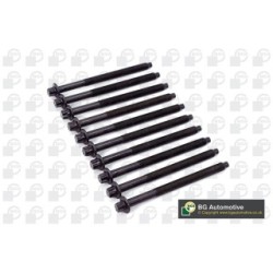 Cylinder Head Bolt Set BGA BK3339 OE Ref 0204.A2(x10)
