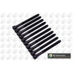Cylinder Head Bolt Set BGA BK3346 OE Ref 06D103385D(x10)