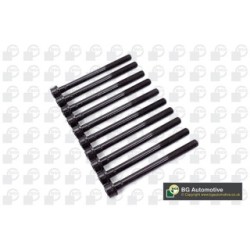 Cylinder Head Bolt Set BGA BK3349 OE Ref 55192265(x10)