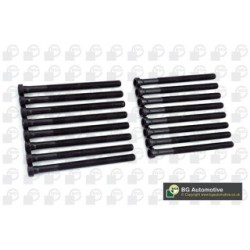 Cylinder Head Bolt Set BGA BK3369 OE Ref 057103384A(x8)