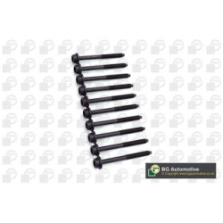 Cylinder Head Bolt Set BGA BK3370 OE Ref 036103384E(x10)