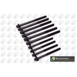 Cylinder Head Bolt Set BGA BK3371 OE Ref 500347039(x6)