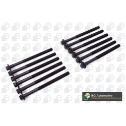 Cylinder Head Bolt Set BGA BK3375 OE Ref 9497825(x12)