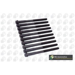 Cylinder Head Bolt Set BGA BK3379 OE Ref 11127790944(x10)