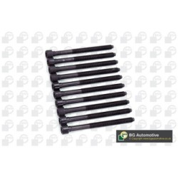Cylinder Head Bolt Set BGA BK3385 OE Ref 06D103385(x10)
