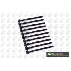 Cylinder Head Bolt Set BGA BK4301 OE Ref 036103384B(x10)