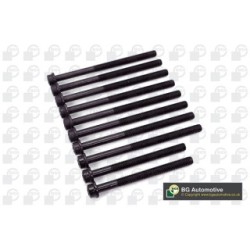 Cylinder Head Bolt Set BGA BK4302 OE Ref 1079925(x2)