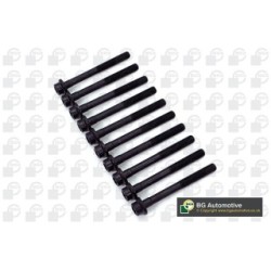 Cylinder Head Bolt Set BGA BK4303 OE Ref 7795992(x10)