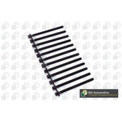 Cylinder Head Bolt Set BGA BK4305 OE Ref 5607937(x12)