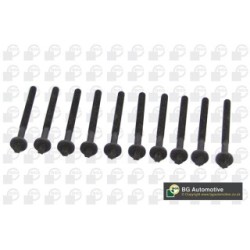Cylinder Head Bolt Set BGA BK4316 OE Ref 7700107044(x10)