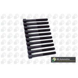 Cylinder Head Bolt Set BGA BK4326 OE Ref 90041-10045(x10)
